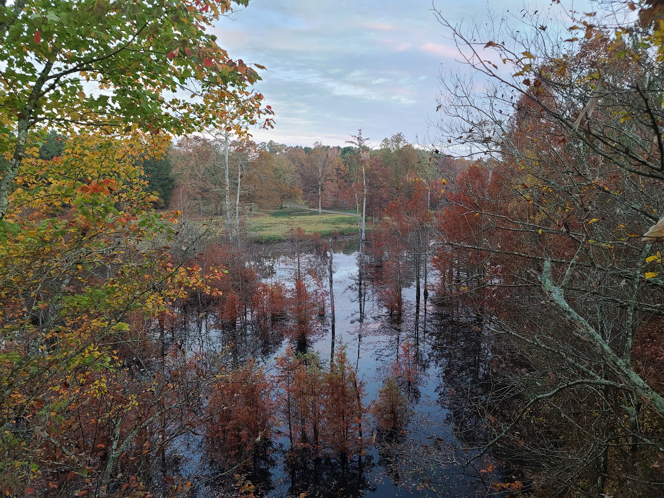 Beautiful view