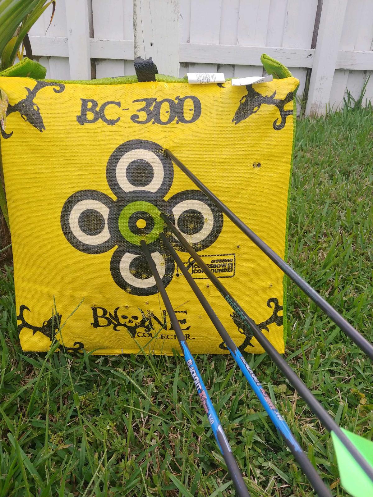 Archery Target with Arrows